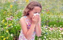 Spring Allergies